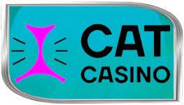 Выигрывайте джекпоты онлайн на лицензионном сервисе Cat Casino